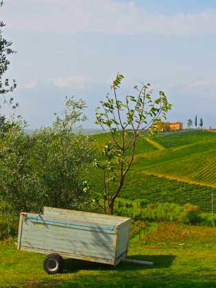 Charming_Farm_Holidays_Tuscany