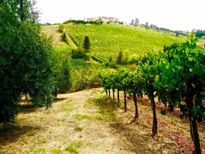 Charming_Farm_Holidays_Tuscany