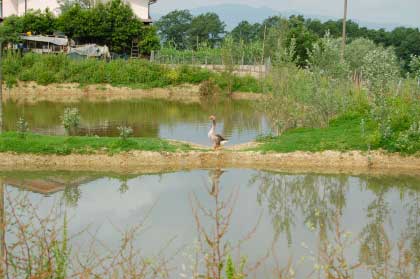 Charming_Farm_Holidays_Tuscany