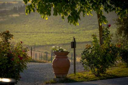 Charming_Farm_Holidays_Tuscany