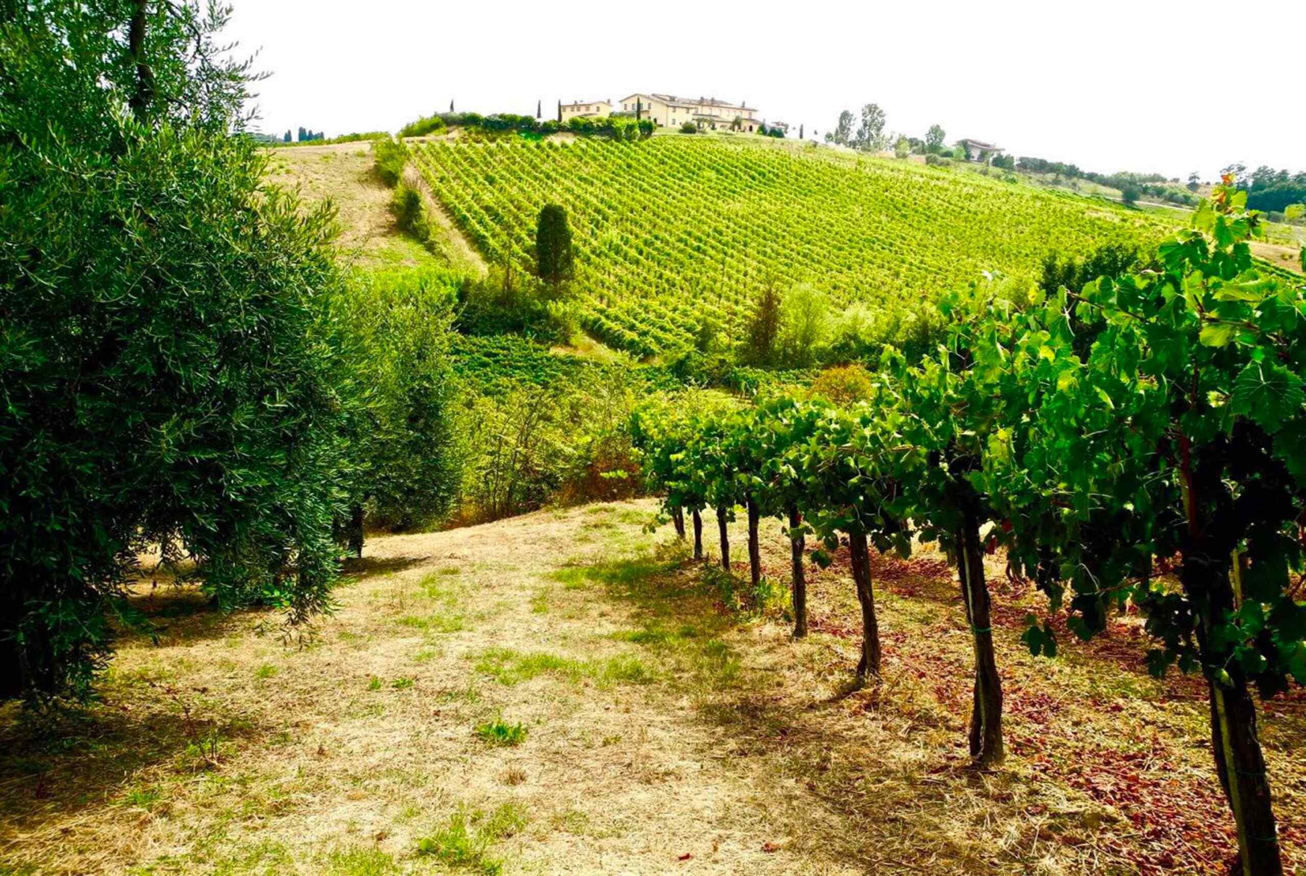 Agriturismo Cerreto Guidi