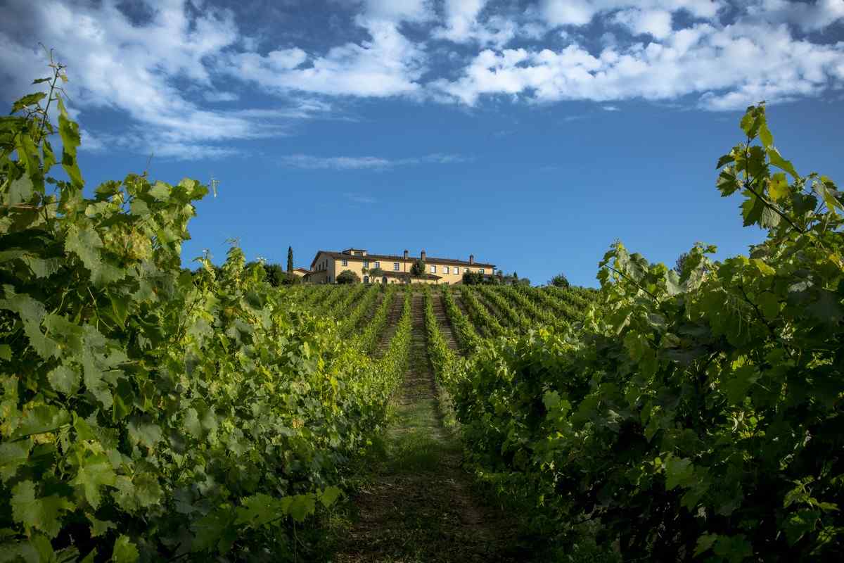 Agriturismo Cerreto Guidi